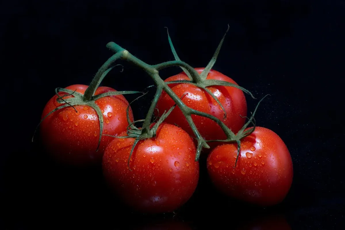 Świeże pomidory z widocznymi kroplami wody, podkreślające wysoką jakość i naturalność oferowanych produktów.